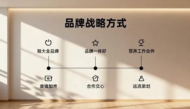 如何在实际应用中选择适合的品牌项目?